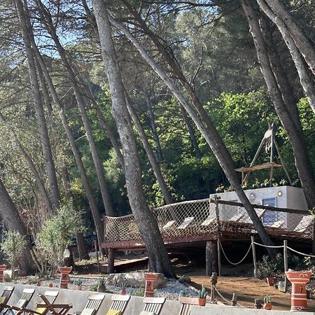 ホテル Le Castel De Fies Solliès-Pont エクステリア 写真